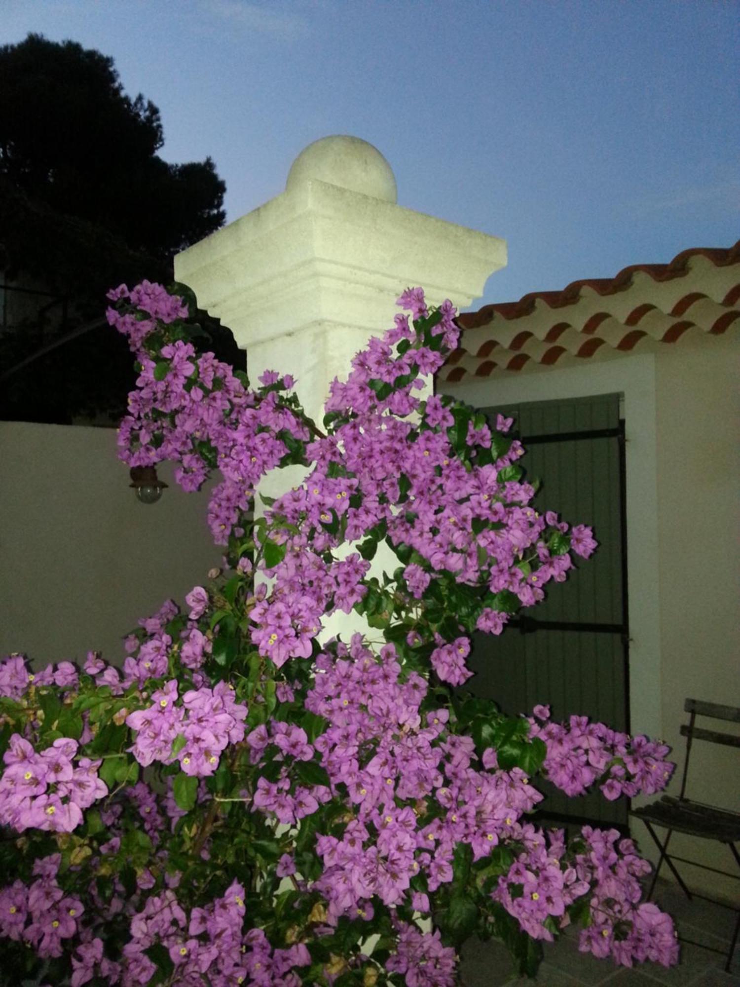 Gite Le Felibre Châteauneuf-lès-Martigues Kamer foto